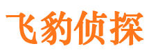 龙文侦探公司